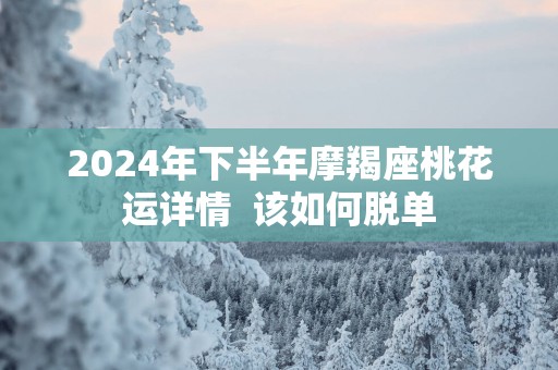 2025年下半年摩羯座桃花运详情  该如何脱单