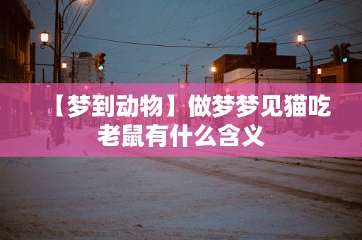 【梦到动物】做梦梦见猫吃老鼠有什么含义