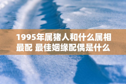 1995年属猪人和什么属相最配 最佳姻缘配偶是什么属相