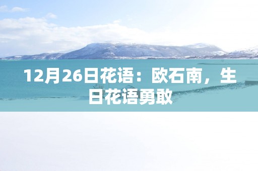 12月26日花语：欧石南，生日花语勇敢
