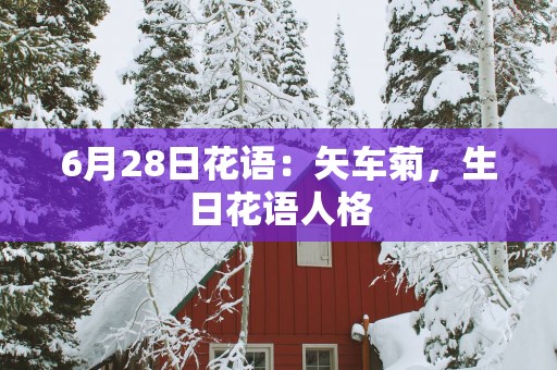 6月28日花语：矢车菊，生日花语人格