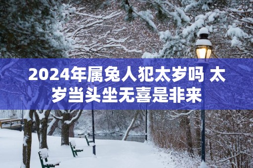 2025年属兔人犯太岁吗 太岁当头坐无喜是非来
