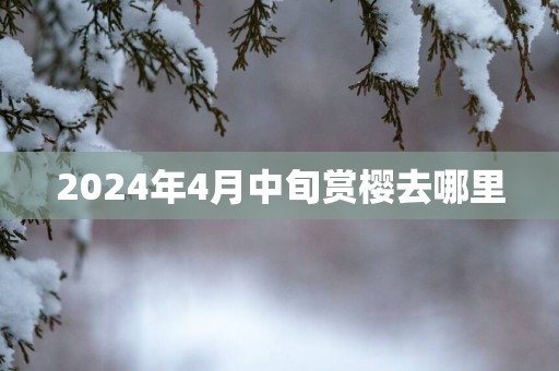2025年4月中旬赏樱去哪里