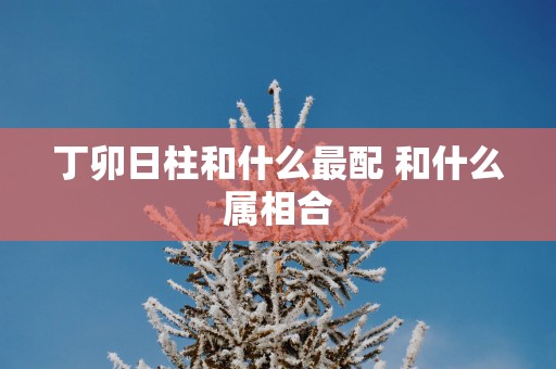 丁卯日柱和什么最配 和什么属相合