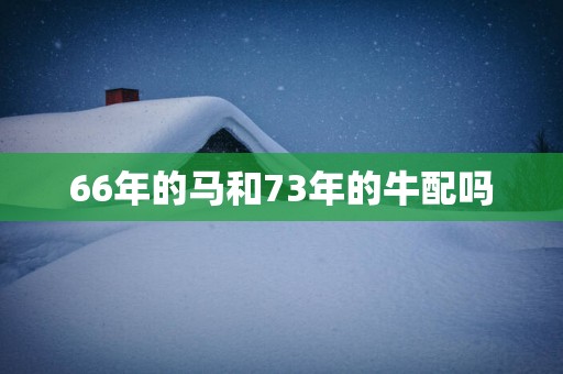 66年的马和73年的牛配吗
