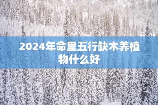 2025年命里五行缺木养植物什么好