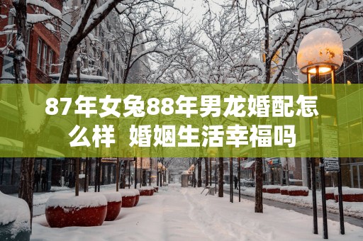 87年女兔88年男龙婚配怎么样  婚姻生活幸福吗