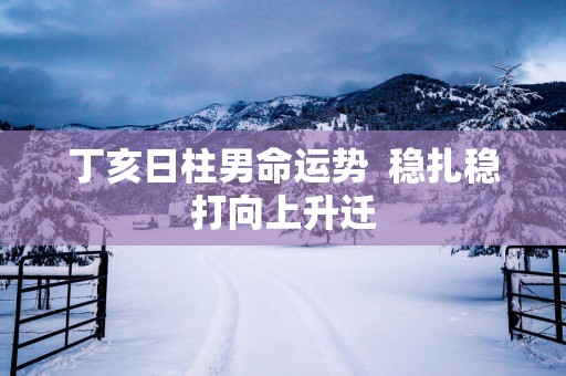 丁亥日柱男命运势  稳扎稳打向上升迁