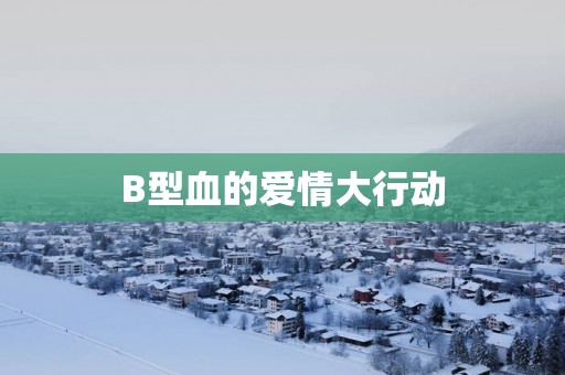 B型血的爱情大行动