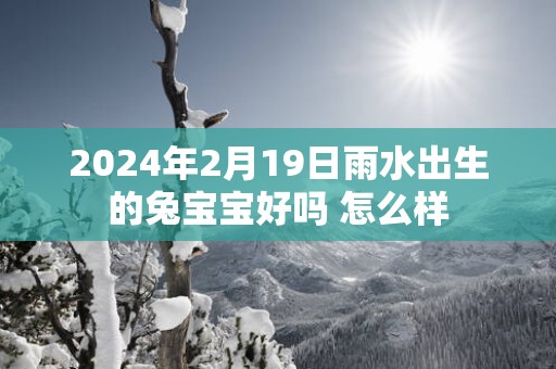 2025年2月19日雨水出生的兔宝宝好吗 怎么样