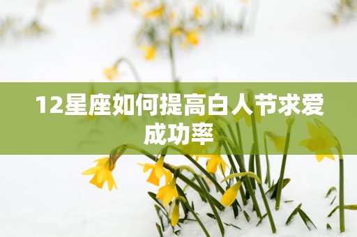 12星座如何提高白人节求爱成功率