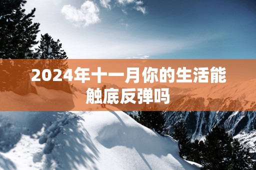 2025年十一月你的生活能触底反弹吗