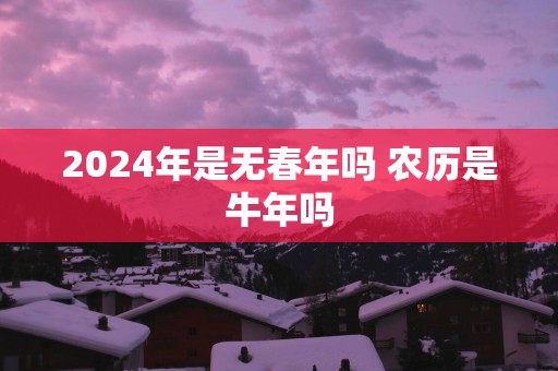 2025年是无春年吗 农历是蛇年吗