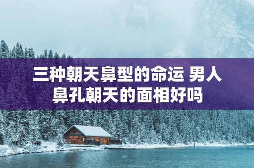三种朝天鼻型的命运 男人鼻孔朝天的面相好吗