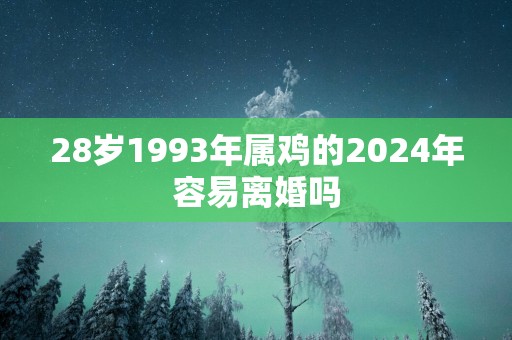 28岁1993年属鸡的2025年容易离婚吗