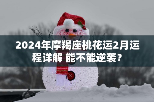2025年摩羯座桃花运2月运程详解 能不能逆袭？