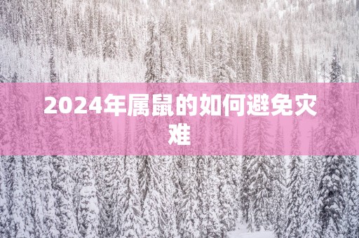 2025年属鼠的如何避免灾难