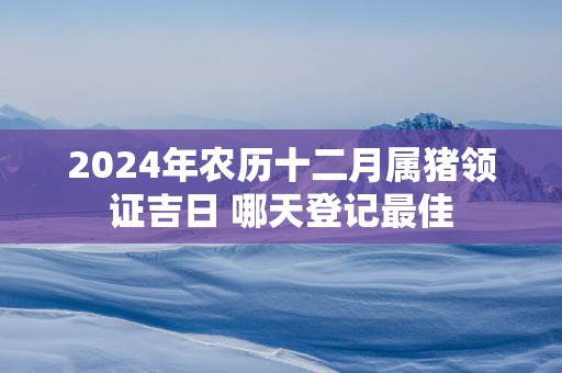 2025年农历十二月属猪领证吉日 哪天登记最佳