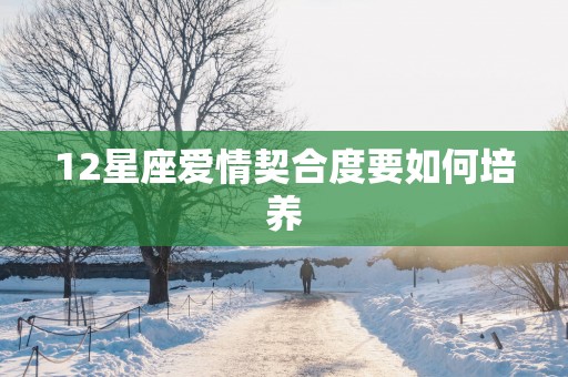 12星座爱情契合度要如何培养