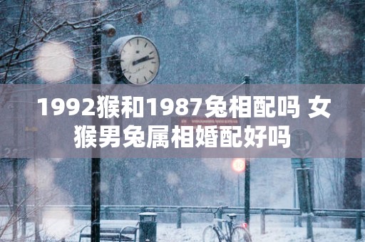 1992猴和1987兔相配吗 女猴男兔属相婚配好吗