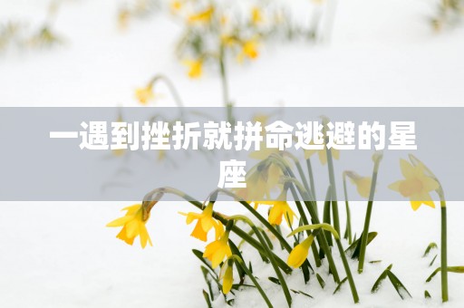 一遇到挫折就拼命逃避的星座