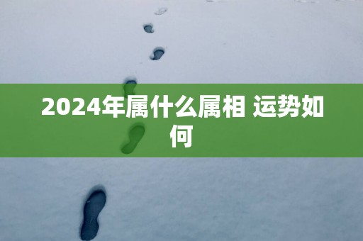 2025年属什么属相 运势如何