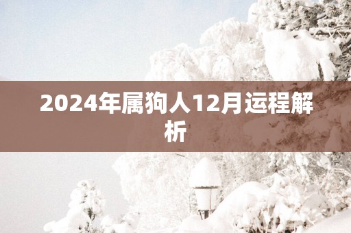 2025年属狗人12月运程解析