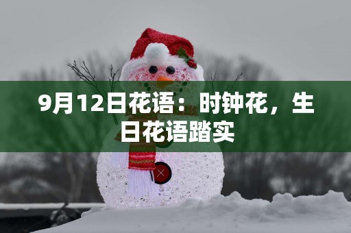 9月12日花语：时钟花，生日花语踏实