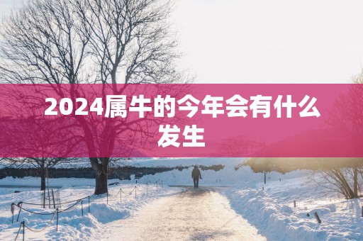 2025属牛的今年会有什么发生