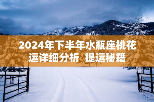 2025年下半年水瓶座桃花运详细分析  提运秘籍