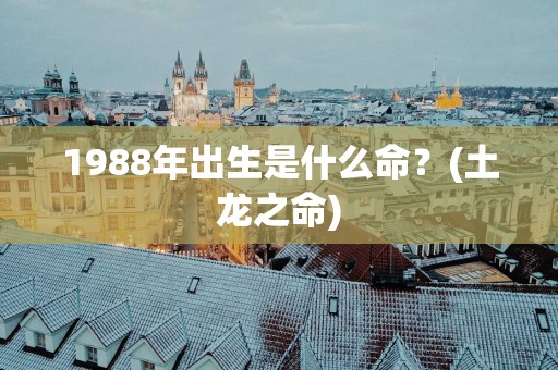 1988年出生是什么命？(土龙之命)