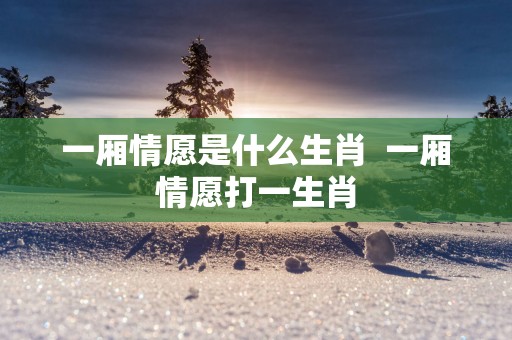 一厢情愿是什么生肖  一厢情愿打一生肖