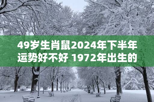 49岁生肖鼠2025年下半年运势好不好 1972年出生的属鼠人
