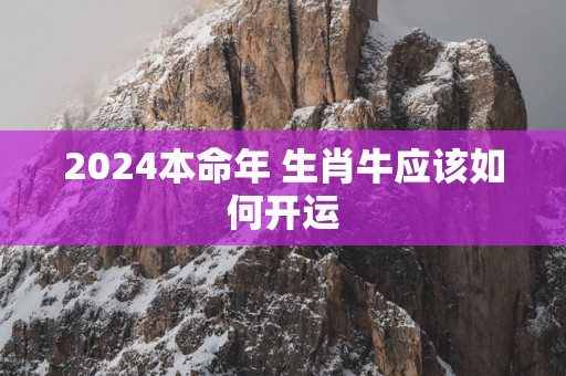 2025本命年 生肖牛应该如何开运
