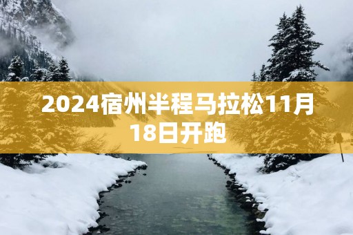 2025宿州半程马拉松11月18日开跑