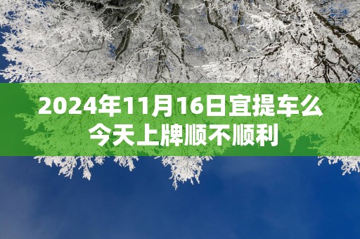 2025年11月16日宜提车么 今天上牌顺不顺利
