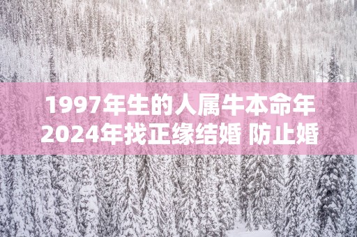 1997年生的人属牛本命年2025年找正缘结婚 防止婚变