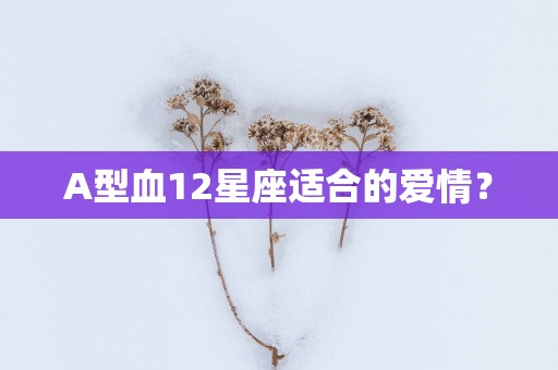 A型血12星座适合的爱情？