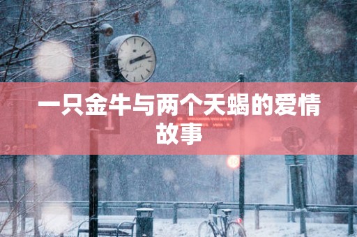 一只金牛与两个天蝎的爱情故事