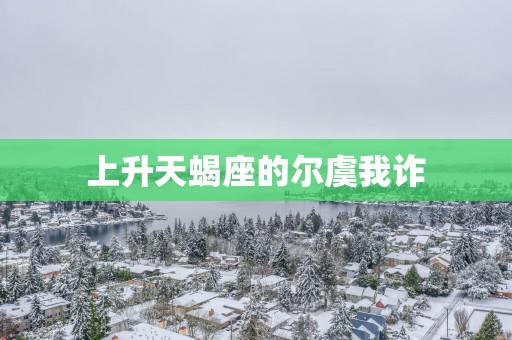 上升天蝎座的尔虞我诈