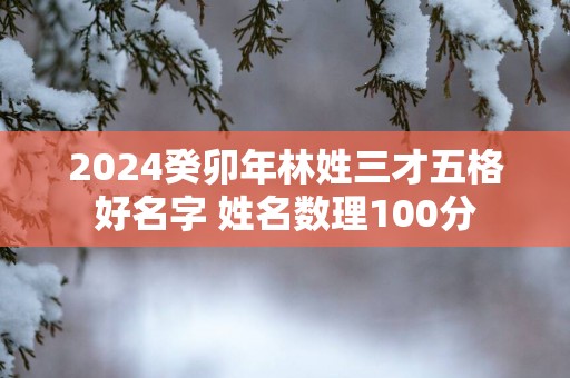2025癸卯年林姓三才五格好名字 姓名数理100分