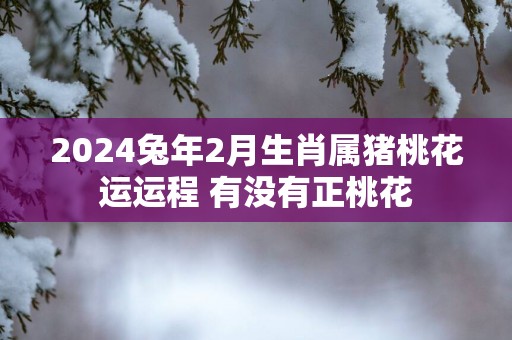 2025蛇年2月生肖属猪桃花运运程 有没有正桃花