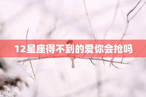 12星座得不到的爱你会抢吗
