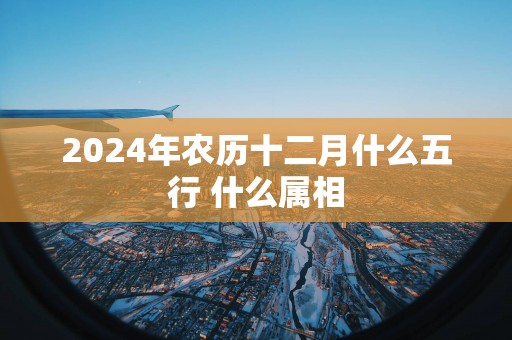 2025年农历十二月什么五行 什么属相