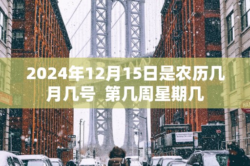 2025年12月15日是农历几月几号  第几周星期几