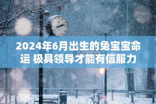2025年6月出生的兔宝宝命运 极具领导才能有信服力