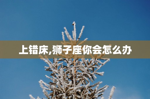 上错床,狮子座你会怎么办