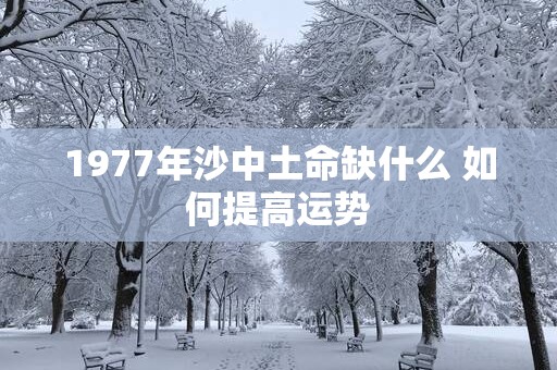1977年沙中土命缺什么 如何提高运势