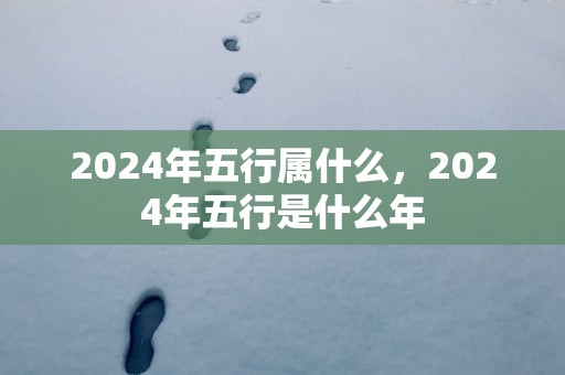 2025年五行属什么，2025年五行是什么年