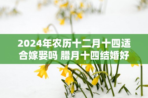 2025年农历十二月十四适合嫁娶吗 腊月十四结婚好吗